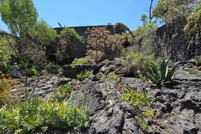 EXCLUSIVE TOUR Luis Barragán - Casa Pedregal - Meeting Point and Tour Logistics