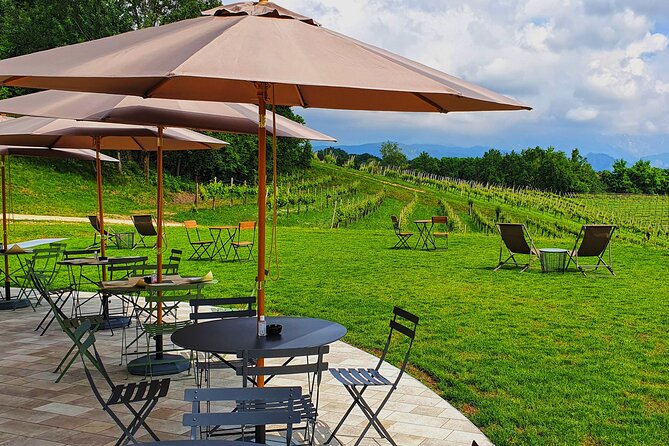 Exclusive Tour of the Vineyards with Visit to the Cellar! - Walking Through the Estate’s Vineyards and UNESCO Landscape