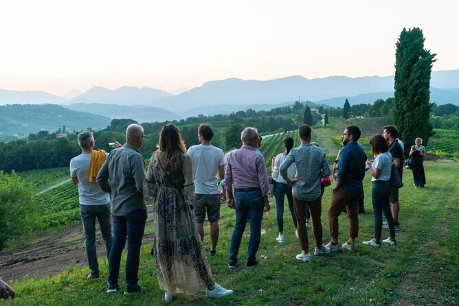 Exclusive Tour of the Vineyards with Visit to the Cellar! - Customer Feedback Highlights