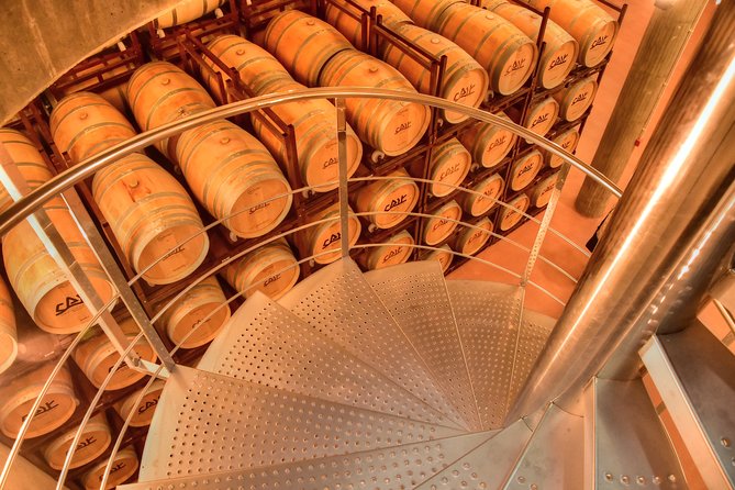 Exclusive tour: Ribera del Duero "like a native", with lamb in a wood oven - Starting in Ribera del Duero: A Focus on Authenticity