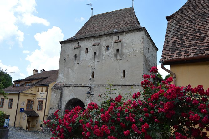 Exclusive tour: Sighisoara, Medias and Biertan tour from Sibiu - Starting Point and Transportation in Sibiu