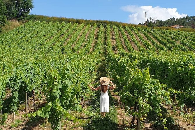 Exclusive Vinho Verde (Green Wine) experience & lunch - The Sum Up: A Deep Dive into Vinho Verdes Heartland