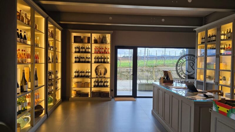 Exclusive Vinho Verde (Green Wine) experience & lunch - Scenic Views of Monte Farinha and Sra. da Graça