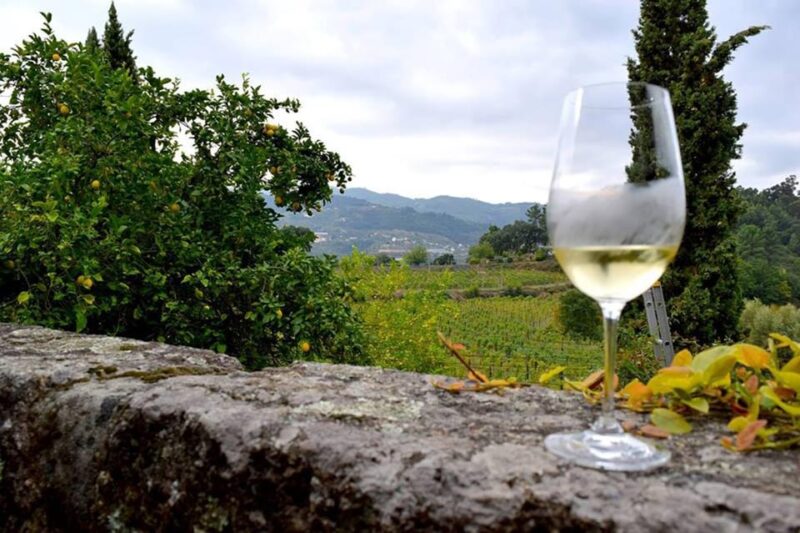 Exclusive Vinho Verde (Green Wine) experience & lunch - What Guides Like About This Tour