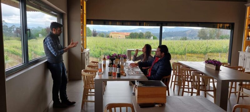 Exclusive Vinho Verde (Green Wine) experience & lunch - Practical Details: What to Bring and What Not to