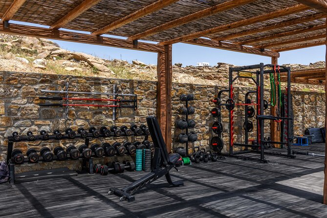 Exclusive Wellness Day Experience in Mykonos - Tailored Yoga and Fitness with Elite Coaches