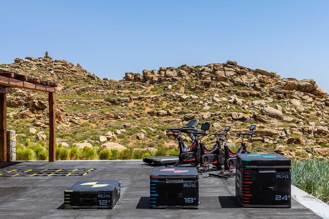 Exclusive Wellness Day Experience in Mykonos - Convenient Meeting Point and Schedule