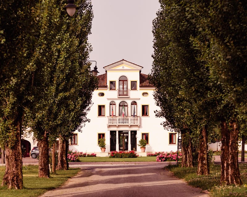 Exclusive Wine Experience: Venetian Best Vineyards - Key Points