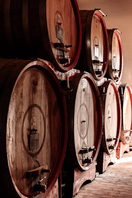 Exclusive Wine Experience: Venetian Best Vineyards - Casa Paladin’s Rich Family Heritage