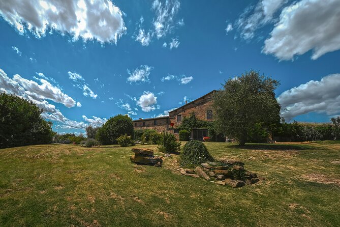 Exclusive Wine Tour and Tasting Experience in Siena - Key Points