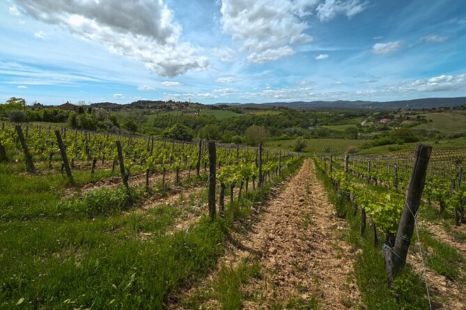 Exclusive Wine Tour and Tasting Experience in Siena - Guides and Guest Interactions