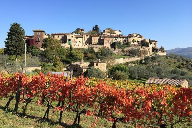EXCLUSIVE Wine Tour in Chianti & San Gimignano (Lunch & Wine Tasting included) - The Comfort and Convenience of Private Transportation