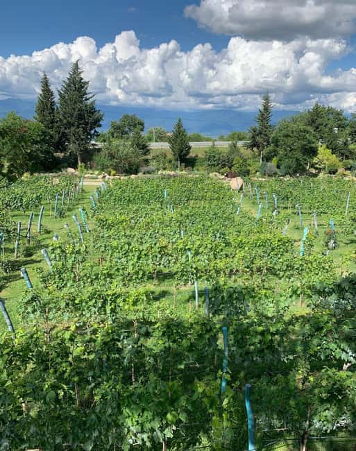 Exclusive Wine Tour in Serbia: Tastings, History & Beauty - Who Will Enjoy This Tour Most?