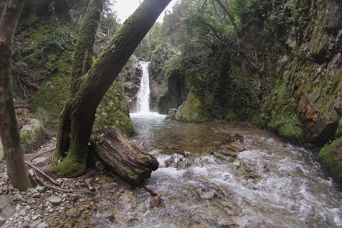 Excursion and hiking in Calabria, Italy - The "Tre Pizzi" Mountain Hike: A More Challenging Option