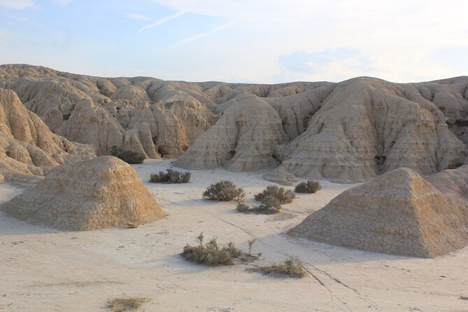 Excursion by car with official guide in Bardenas Reales - Meeting Point and Transportation Details