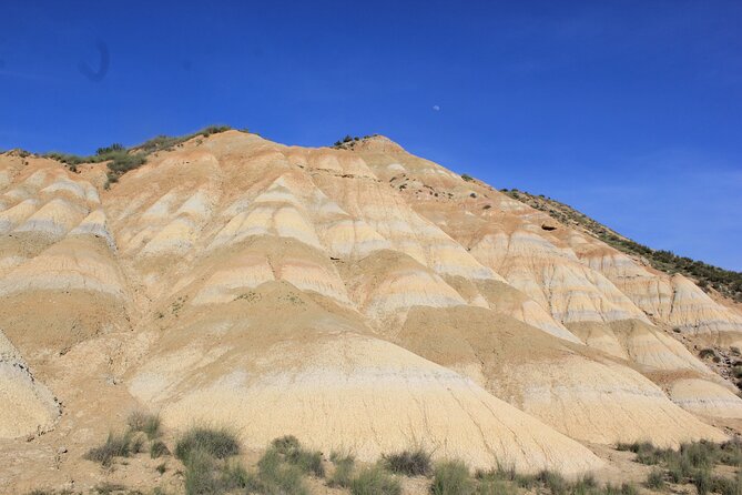 Excursion by car with official guide in Bardenas Reales - Flexibility and Booking Information
