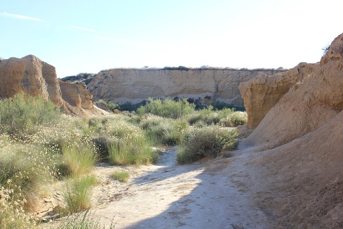 Excursion by car with official guide in Bardenas Reales - Who Will Appreciate This Tour the Most