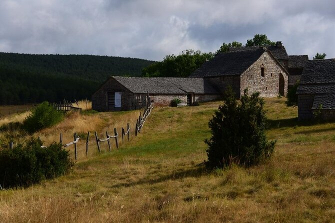 Excursion Gorges du Tarn and Causses in the morning - Marvel at the View from Point Sublime