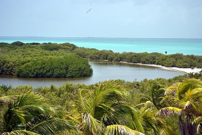 Excursion Isla Contoy & Isla Mujeres from Cancun - Snorkeling at Ixlaché Reef and Equipment Considerations