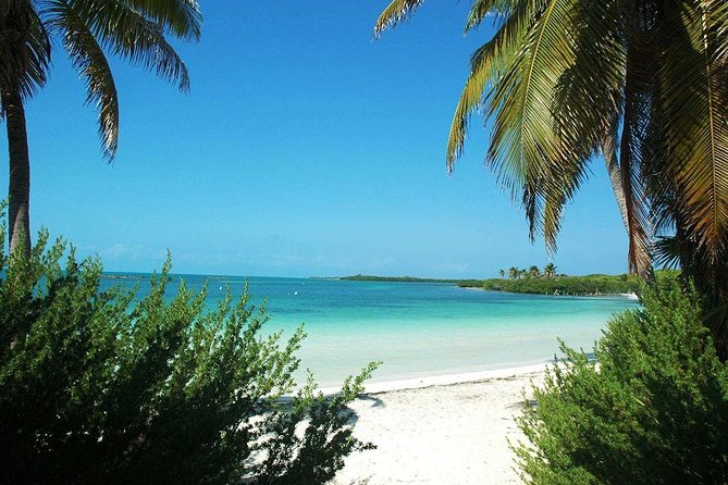 Excursion Isla Contoy & Isla Mujeres from Cancun - The Cultural and Shopping Experience in Isla Mujeres