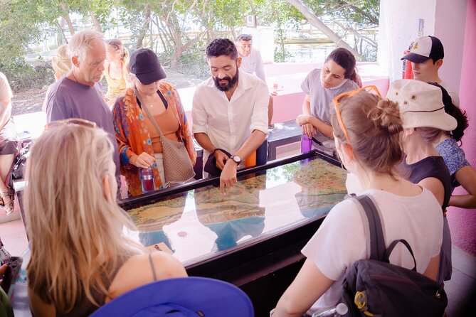 Excursion to Celestun Biosphere and Beach Day from Merida - The Experience and Expertise of the Guides