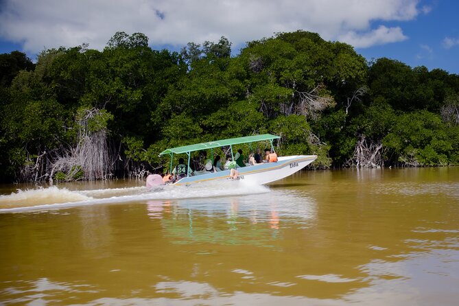 Excursion to Celestun Biosphere and Beach Day from Merida - The Practicalities of Fees and Payments