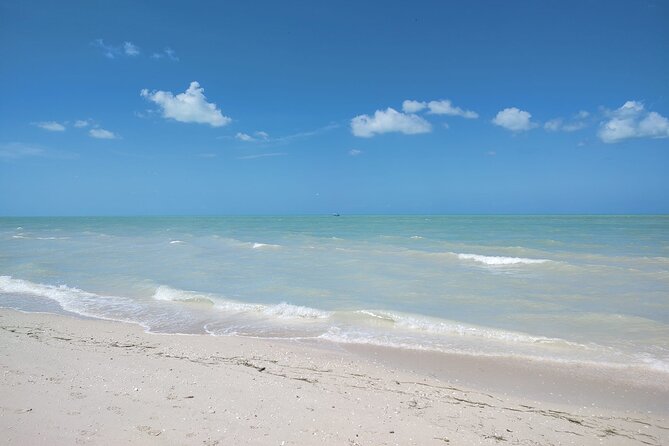 Excursion to Celestun, Swimming, Hiking & Boat Ride - Celestúns Mangrove Reserve and Bird Watching