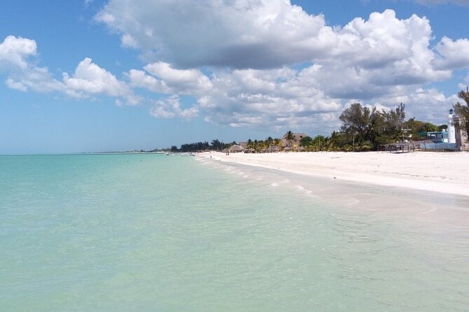 Excursion to Celestun, Swimming, Hiking & Boat Ride - Exploring the Hidden Horseshoe Ruins