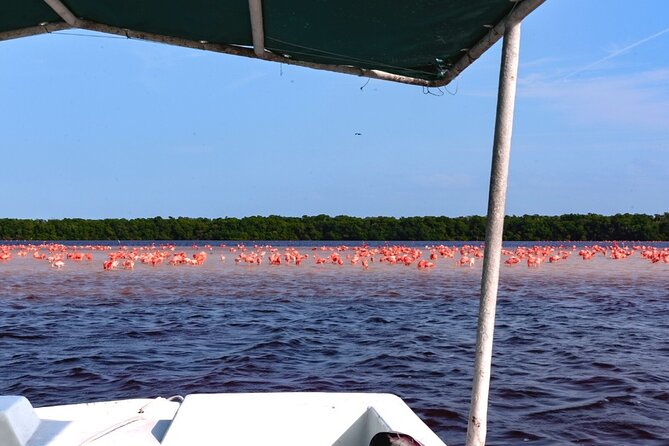 Excursion to Celestun, Swimming, Hiking & Boat Ride - Beach Break at Pier to Tía Candy