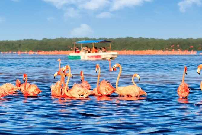 Excursion to Celestun, Swimming, Hiking & Boat Ride - Practical Details and Tips for Participants