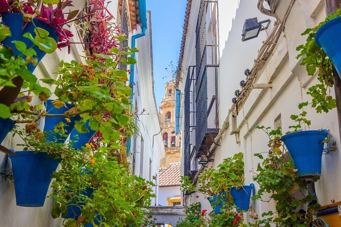 Excursion to Córdoba from Malaga - Discover Córdoba in a Day from Malaga at an Affordable Price