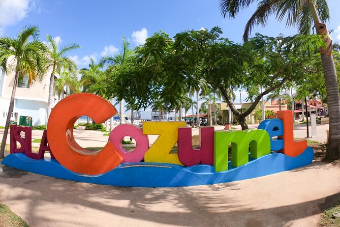 Excursion to Cozumel from Cancun - Exploring El Cielito: Starfish Sanctuary and Unspoilt Nature
