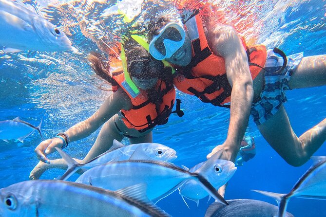 Excursion to Cozumel from Cancun - Small Groups and Friendly Guides Enhance the Experience