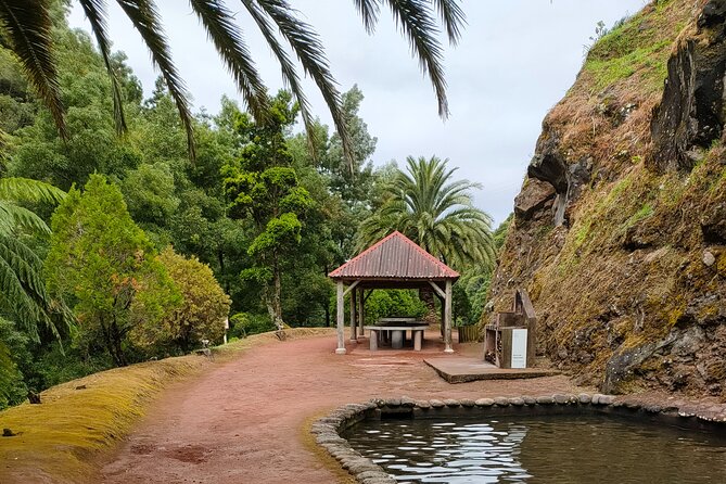 Excursion to Furnas and Nordeste with Cozido das Furnas - Exploring the Gorreana Tea Plantation