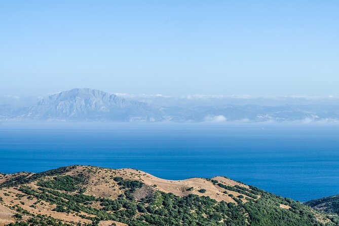 Excursion to Gibraltar with Rock Tour From Malaga - Key Points