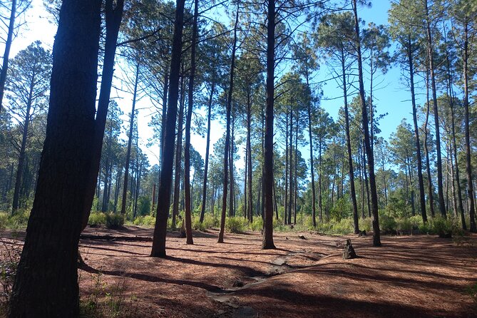 Excursion to La Cima de La Malinche from Mexico City - What’s Not Included: Meals and Snacks