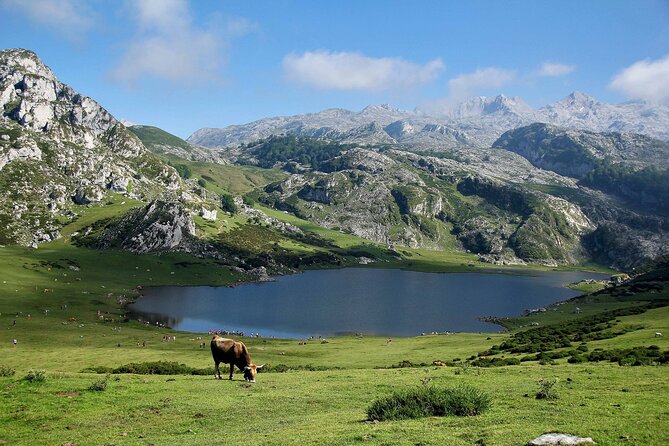 Excursion to Lakes of Covadonga and Cangas de Onís from Oviedo - Value and Overall Satisfaction