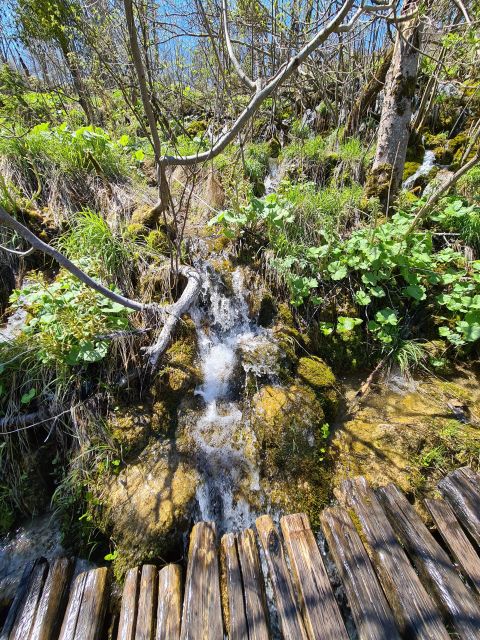 Excursion to Plitvice National Park - The Entrance to UNESCOs Natural Heritage Site