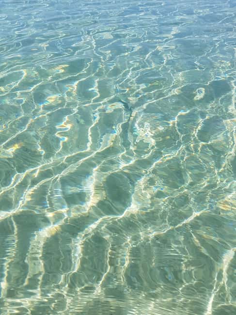 Excursion to Porquerolles Island from Bandol - Scenic Departure from Bandol Harbor on the Atlantide