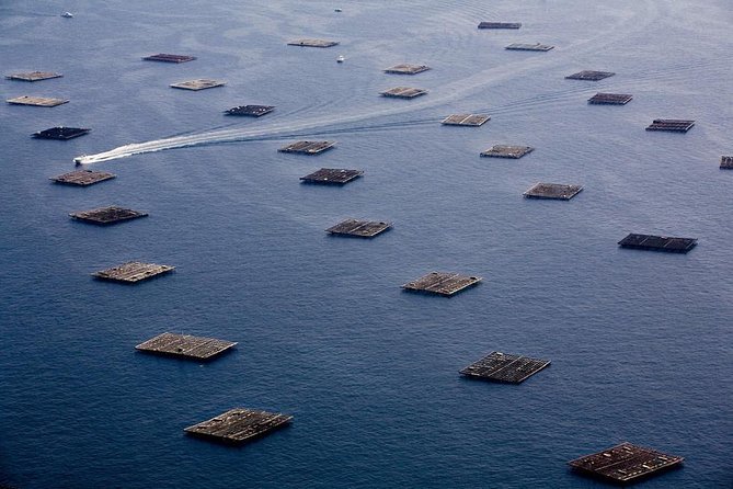 Excursion to Rias Baixas with Winery - Optional mussel boat - Santiago de Compostela Pickup and Logistics