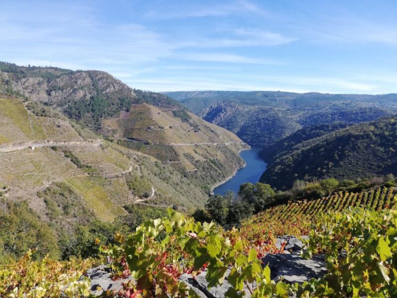 Excursion to Ribeira Sacra and Ourense - Scenic Lookout Points and Photograph Opportunities