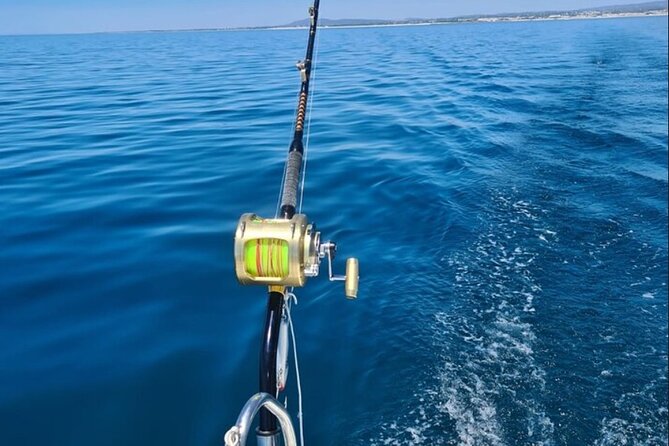 Excursion to Tavira - Regional Cuisine and Onboard Dining Experience