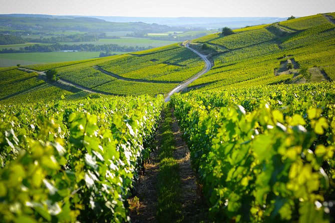 Excursion to the Champagne region and Wine Tasting - Key Points