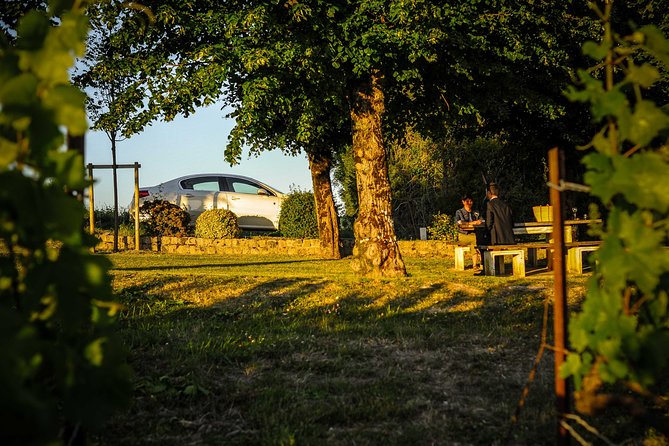 Excursion to the Champagne region and Wine Tasting - Scenic Panoramas Over the Marne Valley