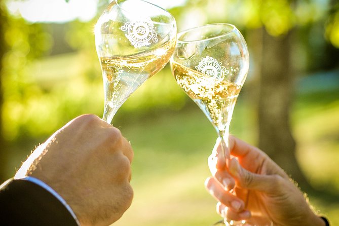 Excursion to the Champagne region and Wine Tasting - Gourmet Lunch in Épernay