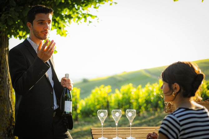 Excursion to the Champagne region and Wine Tasting - Flexible Stops and Personalized Experience