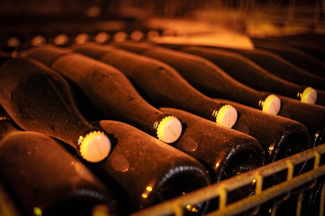 Excursion to the Champagne region and Wine Tasting - Logistical Details and Booking Tips