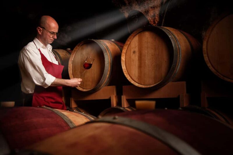 Excursion to Vitoria, La Rioja, and wine tasting at a Laguardia winery - Practical Details and Booking Flexibility