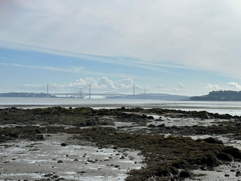 Executive Scottish Lowlands Tour - Who Will Enjoy This Private Lowlands Tour?