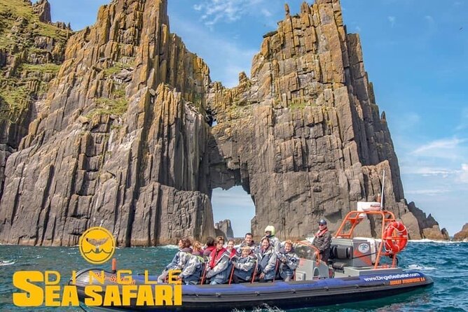Exhilarating Rib experience - Dingle sea safari - Practical Tips: What to Wear and Expect